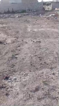 الحسن العسكري • ١٥٠م • خدمات قريبة