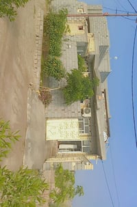 طابو زراعي • الفلوجة • ٢١٥م ركن