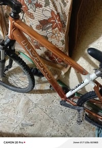 بايك استعراضي • ديسكات • ذهبي أبيض