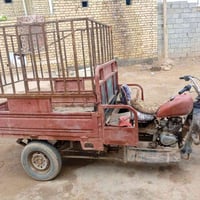 ستوته سلطان • 2011 • رقم وسنوية