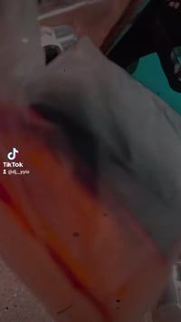 هوندا • كامله • بدون رواق