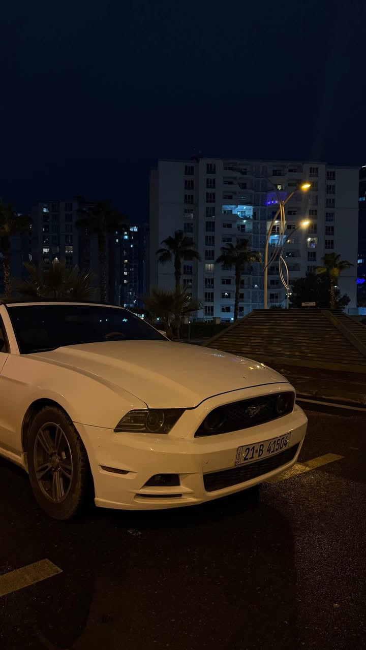 موستانگ ٢٠١٣ سفری ئێرەیە سەیارەکە

سەیارەکە زۆر خاوێنە مەسرفی تێدا نیە کەشفی مەزبوتە 
گێرو مەکیناو کارەبایەتی بە شەرتەو مەزبوتە
بەرمەجەی پۆپ بانکی لەسەرە 
تایەو ویلی نوێیە و خاوێنە
٣ پارچەی پێشی هەیە بێ ئێرباگ  بێ ژورێ
بە ناوی خۆمەو هەزەو سەنەوی رەقەم نوێیە.

ژ.م*********** أربيل, العراق
