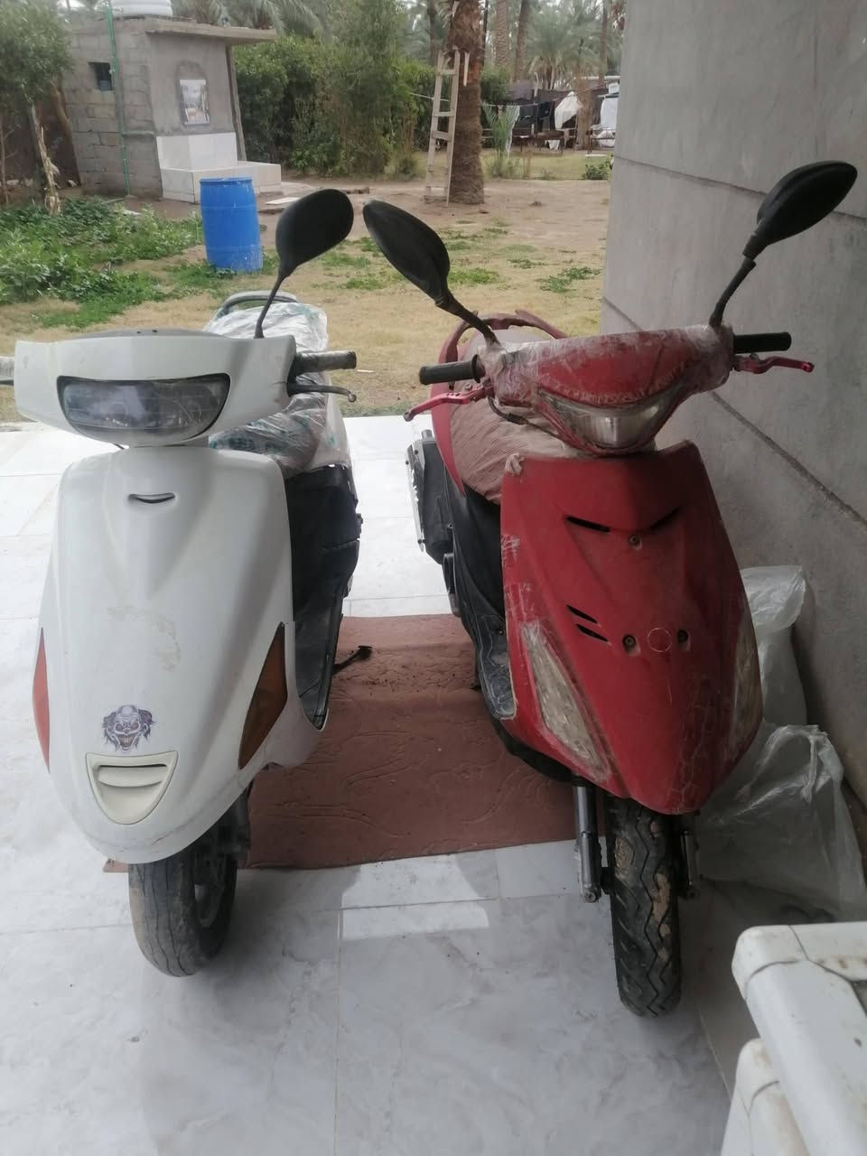 السلام عليكم دراجه الحمراء ماكس والبيضاء فراشه للبيع البيضاء عايزه بس كبريته المكلف بالنشر هذا رقم صاحب ابو الدراجات ***********
