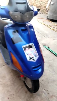 فراشة • فحل • مجال