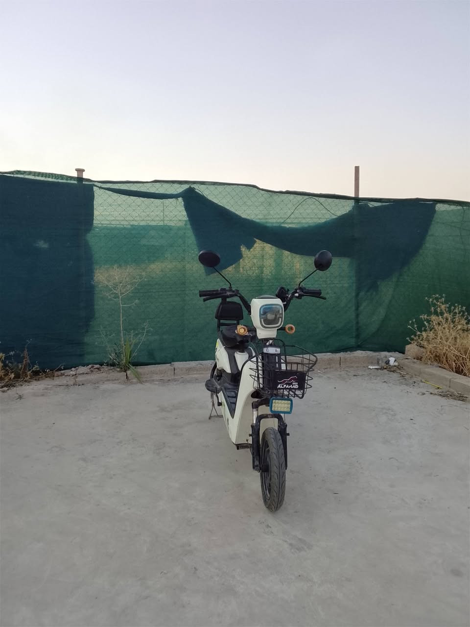 السعر 350وبي مجال


**إذا كنت صاحب هذا الإعلان وتريد حذفه لأي سبب، رجاءا أرسل رسالة إلى الدعم الفني**