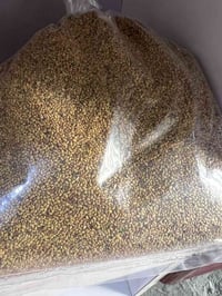 بذور جت • درجة أولى • جملة مفرد