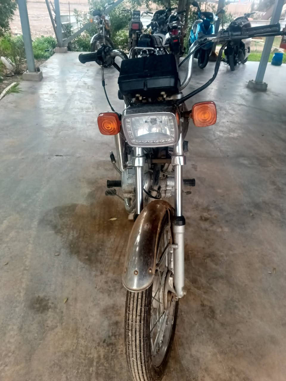 دراجه خمسه كير بدون اوراق
مكان كوت سعرها 350
***********
