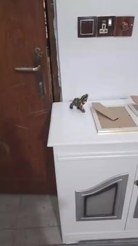 غرفة نوم • صاج • بغداد سبع قصور