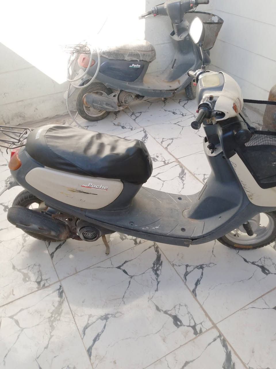 دراجه منغولي شرط الشغل ماناقصه اي شي بيه صوت بلكير فقط للمراوس للمراوس


**إذا كنت صاحب هذا الإعلان وتريد حذفه لأي سبب، رجاءا أرسل رسالة إلى الدعم الفني**