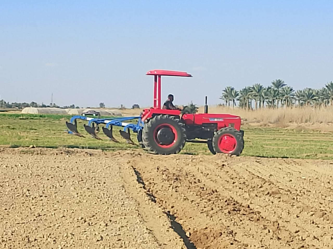 للبيع عنتر موديل 1987 كير ومحرك واكسن بالباكيت لا تبخير ولا تنقيص كهربائيات شغاله نكره سلف تخم تاير تخم ثكال مكينة رقم وسنوية بدون تحويل مكينة خير من الله مال جناي 9ملايين ونص وبيه مجال بسيط المكان بابل قرب خط السريع للاستفسار ***********
