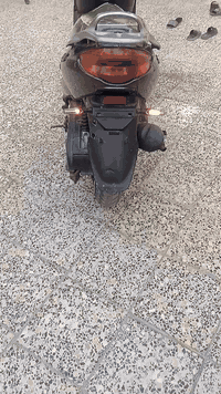 السلام عليكم دراجه اگزز لبيع  دراجه نضيفه كهربائيات كله شغاله أشير شغاله وكهرابائيات   زون اكلوب ثلاثي اصفر ورماش ابيض
دبل اشاير اصفر وزراق  دراجه مفتوحه و الدراجه قويه وسرعته  حلوه السعر 575بس لشراي المكان الصالحيه شارع المركز راسلني واتساب الرقم***********
