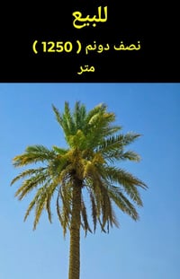 ١٢٥٠م • طابو زراعي • واجهة ٢٥م