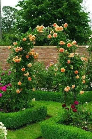 نسرين متسلق
السعر/٧,٠٠٠
اللون/ابيض ، وردي محمر ، اصفر 
نوع/خارجي_شمسي

✅محب لاشعه الشمس المباشرة طالما يزرع بحديقة ☀️
✅تربه زميج سريعه التصريف للماء💧💧

✅تسميد باسمدة (داب/يوريا/عال بوتاسيوم) تنوع بين فترة وفترة🍀

✅السقي بالصيف مرتين باليوم وخصوصا بشهر ٦/٧/٨ وبالشتاء من تنشف التربه 🌿

العنوان / حلة حي الاكرمين 
تتوفر خدمة توصيل لجميع محافظات العراق🚘

واتساب ***********

🟣اذا تحب تطلب راسلنه وتدلل 🍀
