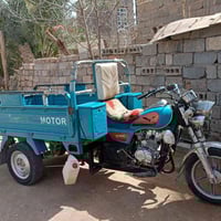 ستوته • فحل • ٢٠٢٣