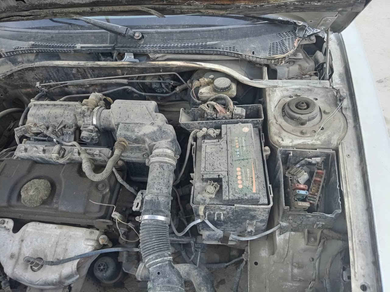 ٣٠٦ فرنسي موديل ٢٠٠٢ واقع حال بدون تحويل لاوكاله محجوزه فقط سنويه ولوحات مكينه كير تبريد كهربائيات كله شغال جام عاطل فقط جامه السايق شغاله الكشر بي ضربات معدله ومحمله معجون السياره نقصه كلج وباتري تجيب عينه وصينيه بوربرن موجودين فيتريه يمي يبدلوهن وتشغل وتطلع السعر ٧ مكاني بغداد الكاظميه شاطئ التاجي الطي ***********
