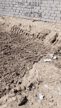 سلام عليكم تفليش بيوت وقلع وحدل باسعار مناسبه ***********📞📞❤️***********
