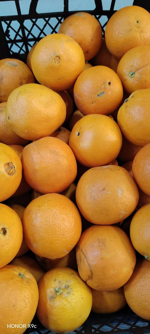 صباح الخير مسواك اليــ﴿ՇôɗαУ﴾ـﯚ۾ 🙂 الاثنين 
فواكه وخضراوات محمد الطائي 
حي تعليم شارع 20 ❤️🌹
قرب ماركة العبيدي 🌹🧡
@أبرز المعجبين


**إذا كنت صاحب هذا الإعلان وتريد حذفه لأي سبب، رجاءا أرسل رسالة إلى الدعم الفني**