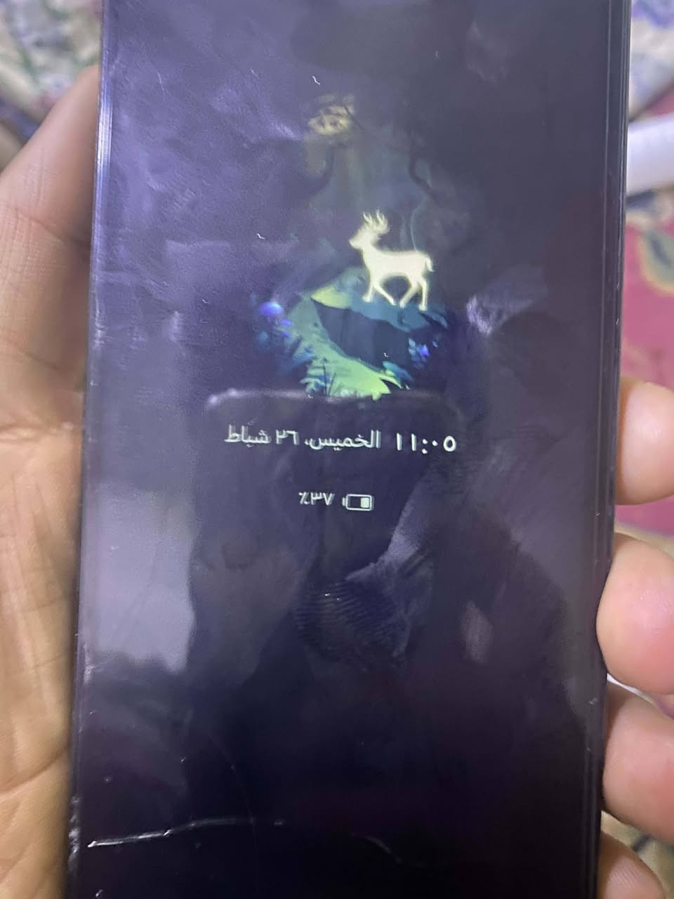 المبيل البيع سعرو 100وبي مجل حك جيتك


**إذا كنت صاحب هذا الإعلان وتريد حذفه لأي سبب، رجاءا أرسل رسالة إلى الدعم الفني**