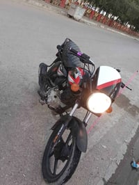 بوكسر كلاسيك • موديل 23 • بدون أوراق