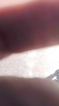 قفص حديد للبيع تفاصيل داخل فيديو رقم للاستفسار 07849835914