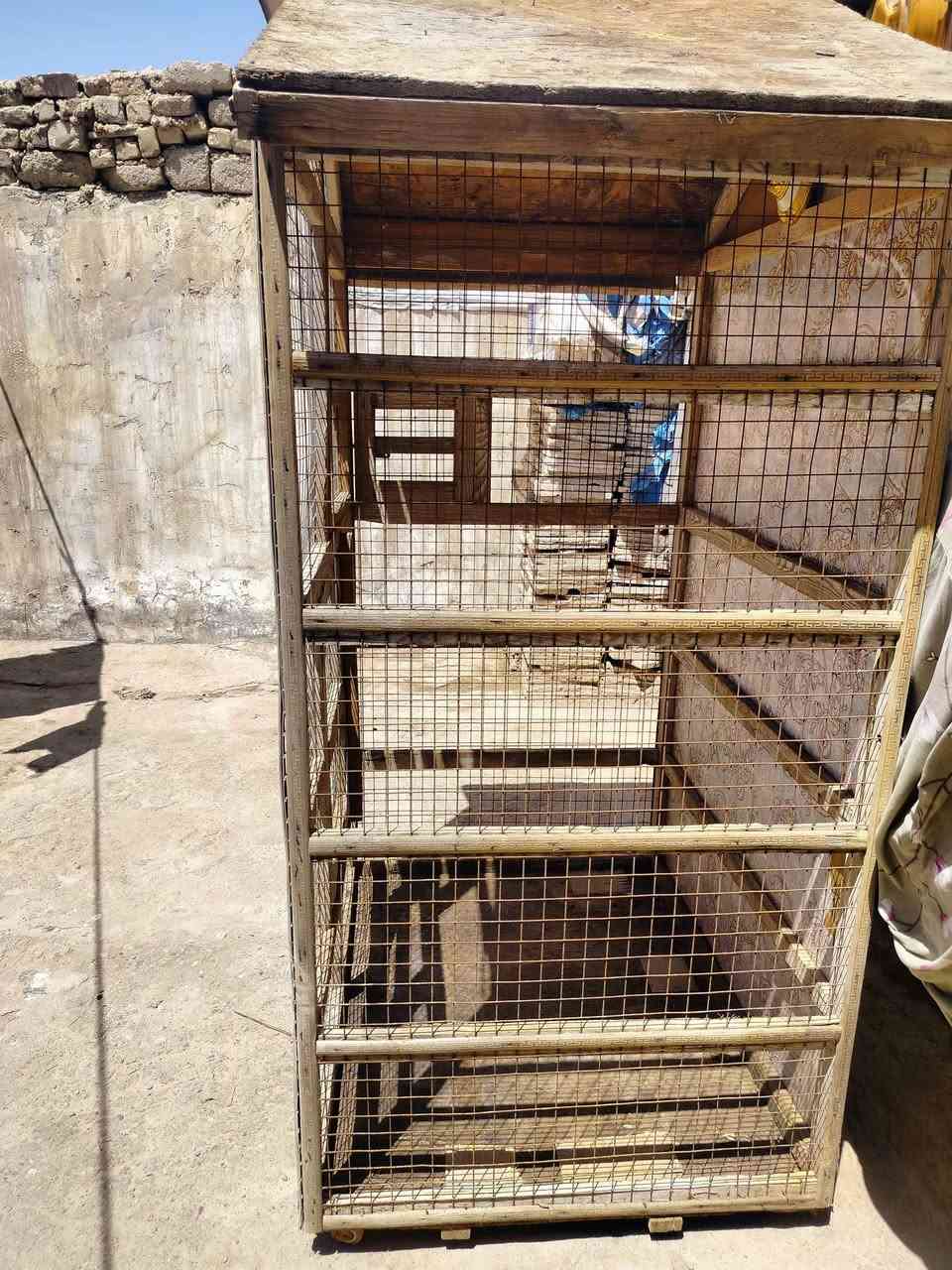 قفص لبيع لعنوان/ ميسان العمارة منطقة الماجديه لتواصل على الخاص او واتساب وهذا رقمي *********** Singapore
