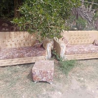 قنفات • نظافه ميه بلميه • بيهن مجال