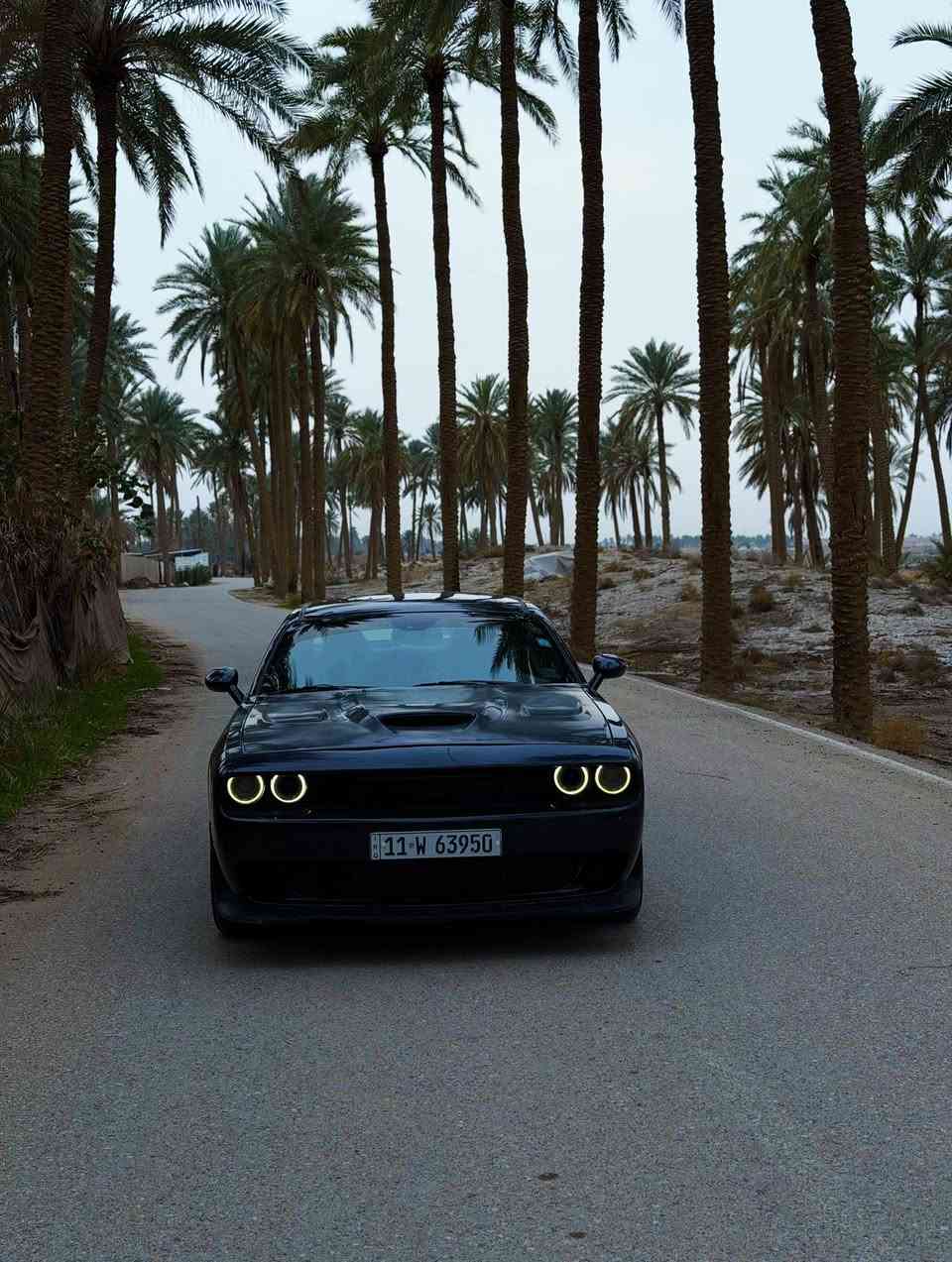 السلام عليكم شباب 
 دوج چالنجر للبيع فقط
 2019 الممشى 72962 mile
 اللون مكزم ستيل(كحلي) 
الضرر جاملغ الايمن + بنيد
مكان السيارة الحلة - بابل
السعر المطلوب 160 وبيها مجال قليل 
رقم الهاتف ***********
