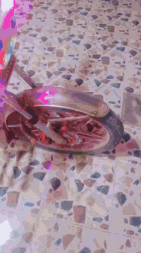 سيفات موديل 21 • كهربائيات شغاله • ديالى تقاطع القدس