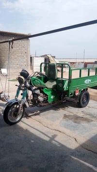 موديل 21 • نضيفه • بابل الاسكندريه