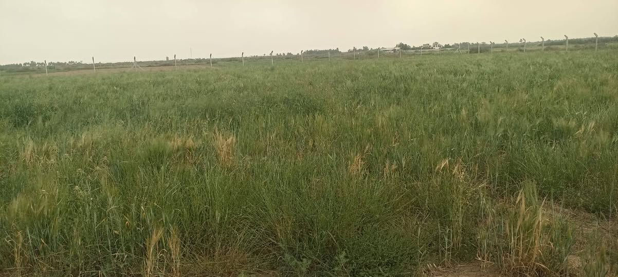 السلام عليكم ورحمة الله وبركاته
يوجد دونمين الئ ربع طابو زراعي سند 25يتحول باسم المشتري الارض مسيجه المدائن سلمان باك الجعاره بشارع الكامرات شارع المزارع مخدومه بتبليط وكهرباء قريبه عليها وبسعر مناسب للستفسار اكثر التواصل علئ الرقم التالي
*********** او اتصال واتساب
