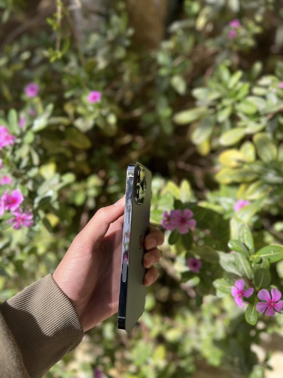 ايفون 13 برو ماكس ذاكره 256 بطاريه 83 بلادي مامفتوح ضمان الفحص ونضيف مابي خلل ملحقات ويا شراي براسلني عنواني بعقوبة


**إذا كنت صاحب هذا الإعلان وتريد حذفه لأي سبب، رجاءا أرسل رسالة إلى الدعم الفني**