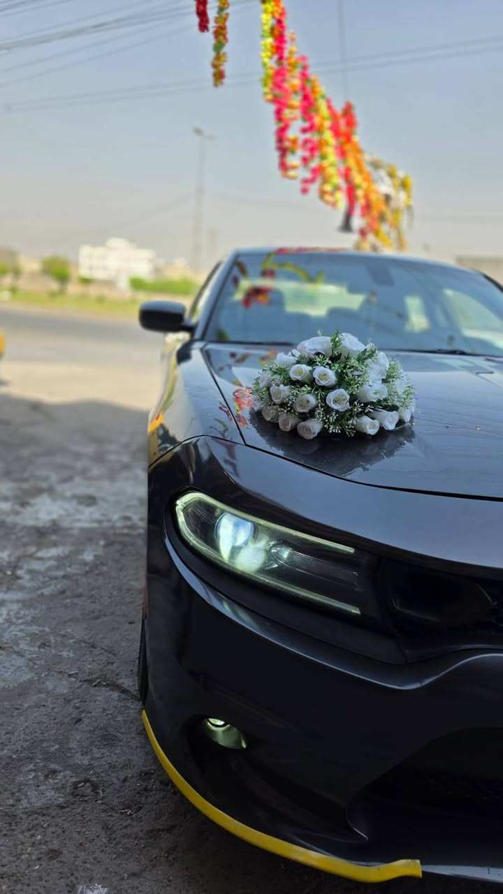 السلام عليكم
للبيع دوج جارجر 2019
محرك 6سلندر حجم 3600 بلادي مامفتوح
وارد أمريكي SXT
حادثها بنيد جاملغ بارد بلجاملغ الأيمن بدون دواخل
رقم أربيل بأسمي تحويل ثاني يوم
كير بلادي
بصمه تشغيل
لايت زنون
كشن كهرباء
حساسات خلفيه
شاشه وكامره
العنوان بغداد
السعر 185 او بيها مجال بسيط
الاستفسار على هذا الرقم ***********
