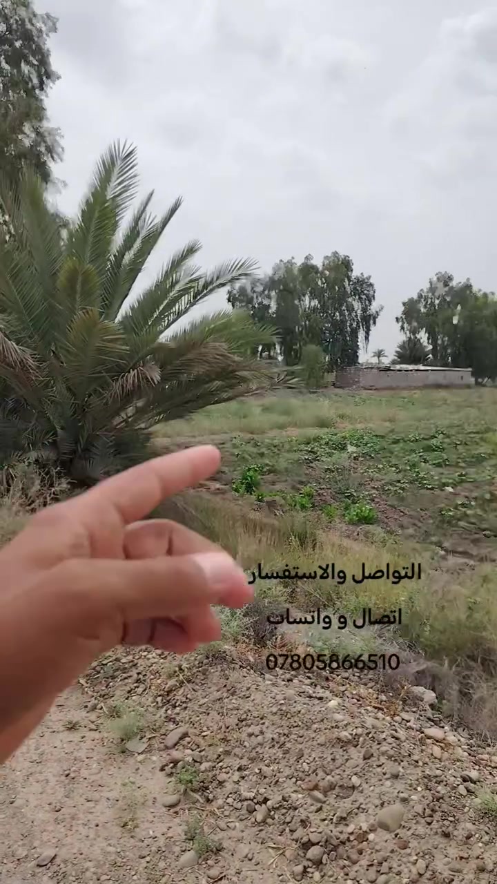 التواصل والاستفسار
اتصال و واتساب 
***********
