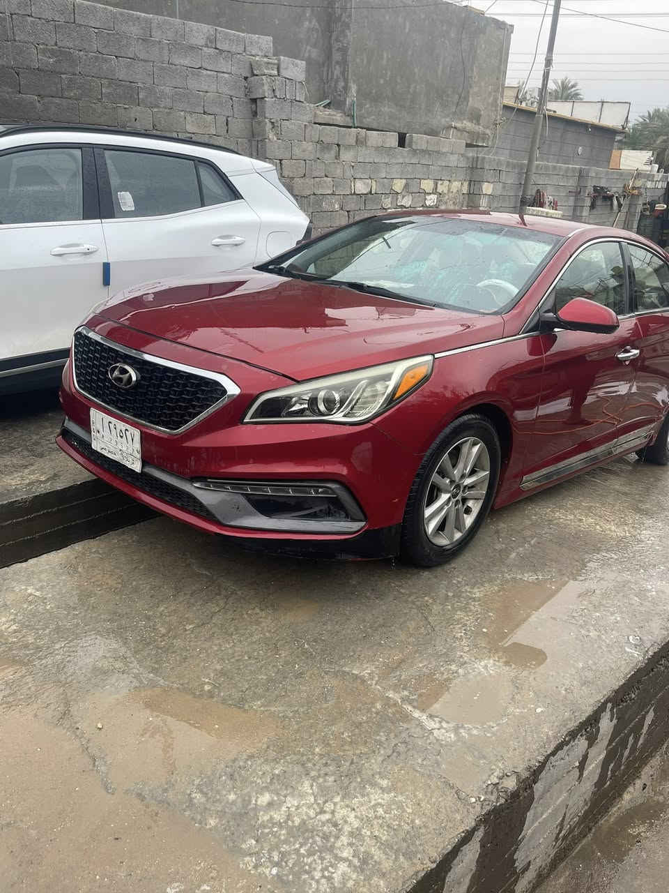 سوناتا كفاله عامه ماعده دعاميه مبدله. دبل كزوز مواصفات سبورت لون كرزي ع دم الغزال سياره كل نقص مابيه ترايك من زاخو لبصره سياره جديده بعمنه كلمه غرفته جديده تخبل رقم كربلاء مكانه كربلاء بيع ومراوس سوناتا سوده بعد احسن حداديه تخبل   *********** سعر 125وبيه مجال السياره كفاله لا بارد للحار لا تبديل قطعه لا جراد
