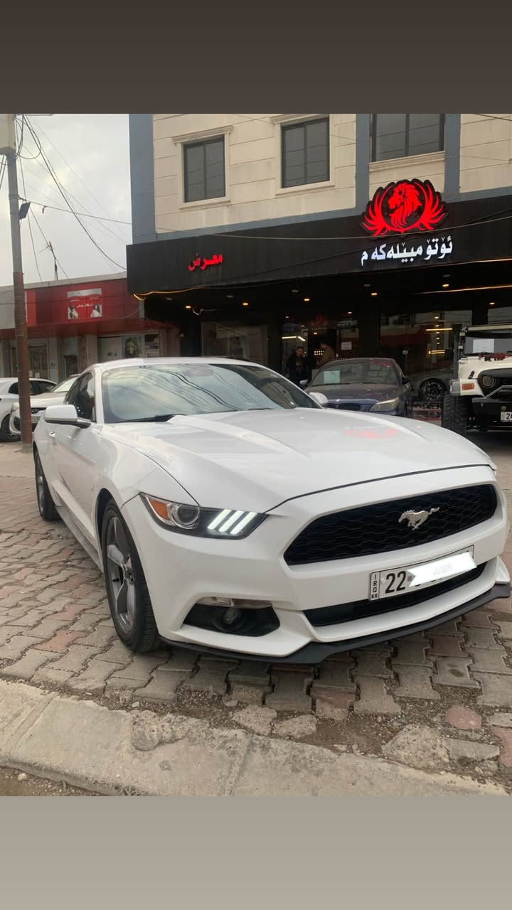 ▪️موستانج / MUSTANG , أمریکي  / 2017 
▪️رقم اربيل دولي سنوية جديد …………….،
▪️118 ألف كم / جير و محرك بشرط مامفتوح
 ▪️نص مواصفات ستاندر ، سيارة نظيف و حلو 
▪️حجم المحرك / V6 ستة سلندر كبس …….
▪️ثلاث قطع صبغ دبي ، بدون دواخل بدون ايرباك
▪️نص باب و نص جامرلغ خلفي صبغ عراق بدون حادث
▪️عنوان اربيل / *********** واتس اب 

▪️سيارة معروضة للبيع ( ١٣٩ $ ) بيها مجال أربيل, العراق
