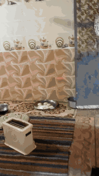 من رخصة الادمن مع التحية 
ومن رخصة جيرانه الافاضل 
السلام عليكم جميعا 
بيت سكن بيع  للحاجه ..
بيت طابقين 
 الطابق الأول 
2غرفة -مطبخ صالة-حمام -مرافق -كراج 
بناء بلوك سقف كونكريت  سنة 2019
مطبخ كامل مع اثاثة
 الطابق الثاني ؛
3غرف -حمام -مرافق 
بناء بلوك +ثرمستون  
سقف عكادة سنة 2020
مع سبّلت عدد 2فقط
المساحة 200م2
زراعي 
السعر (65 مليون)قابل للتفاوض 
تدفع مقدم (35 مليون دينار )
والباقي (30مليون دينار) الشهر 500الف 
بضمان ..
بيت كبير  واسع نظيف بس يحتاج شوي ترميمات 
ويرهم بيتين بدرج خارجي 
الماء والكهرباء مدفوعة 
مقطورات اثنين 2طن  
مع ماطور ماء درجة أولى 
العنوان 
البصرة  ..قضاء المدينة
(منطقة السودان )
شارع الامام الحسن المجتبى ع
الاتصال على الرقم 
***********
….
واتساب و اتصال 
وتدلل 
الرجاء..الرجاء بس الشراي صدك يتصل 
ويدلل .
واعتذر للاطاله وسلامتكم
