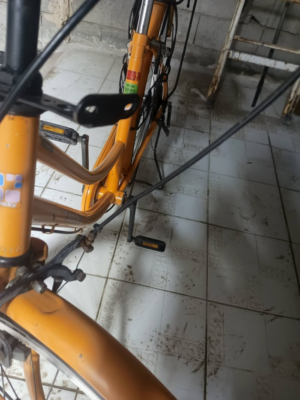 بايسكل للبيع سعر خاص ❤️❤️✌️


**إذا كنت صاحب هذا الإعلان وتريد حذفه لأي سبب، رجاءا أرسل رسالة إلى الدعم الفني**