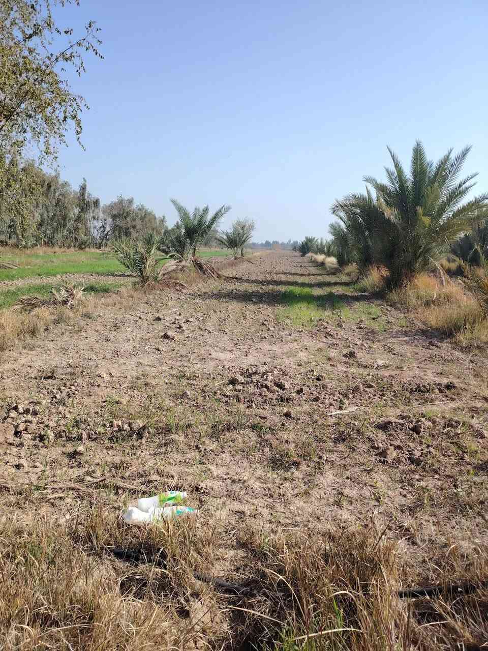 11 دونم لبيع طريق السنية قرب معمل الزفت قبلا تعبر الشط قابلة لسكن ***********
