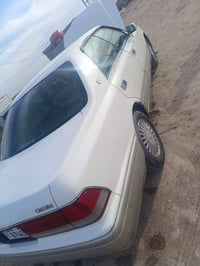 راس الثور • ١٩٩٦ • رقم بصره