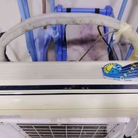 سبلت • ١ طن • نجف