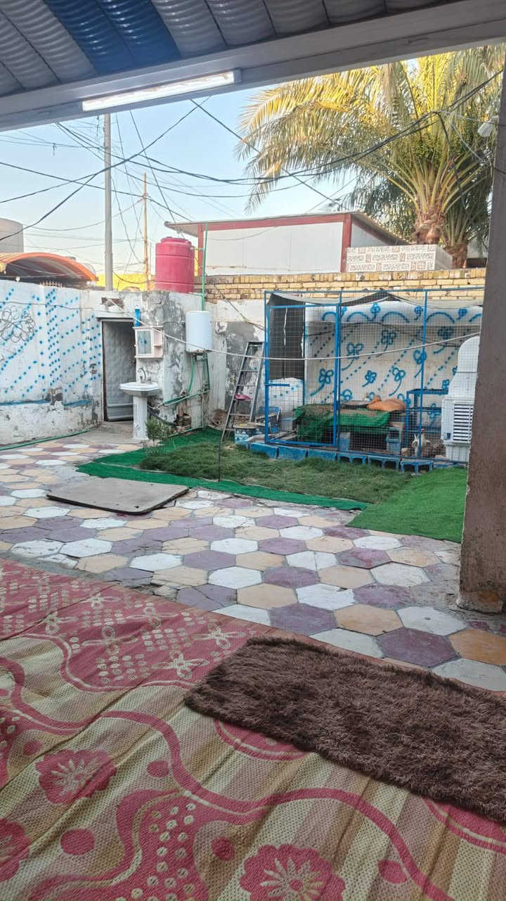 السلام عليكم بيت للبيع مساحة 210طابو صرف البيت بنيان قديم مستوى الشارع سقف ناصي كله بنيان طابوك ونضيف جداً غرفتي وصالة ومطبخ وستقبال ومدخل حمام داخلي تواليت خارجية عنوان ديوانية حي العسكري الثاني شارع ستين فرع حسينية ام البنين خامس بيت عن شارع العام 
سعر 110 رقم تلفون وبي واتساب 
***********
