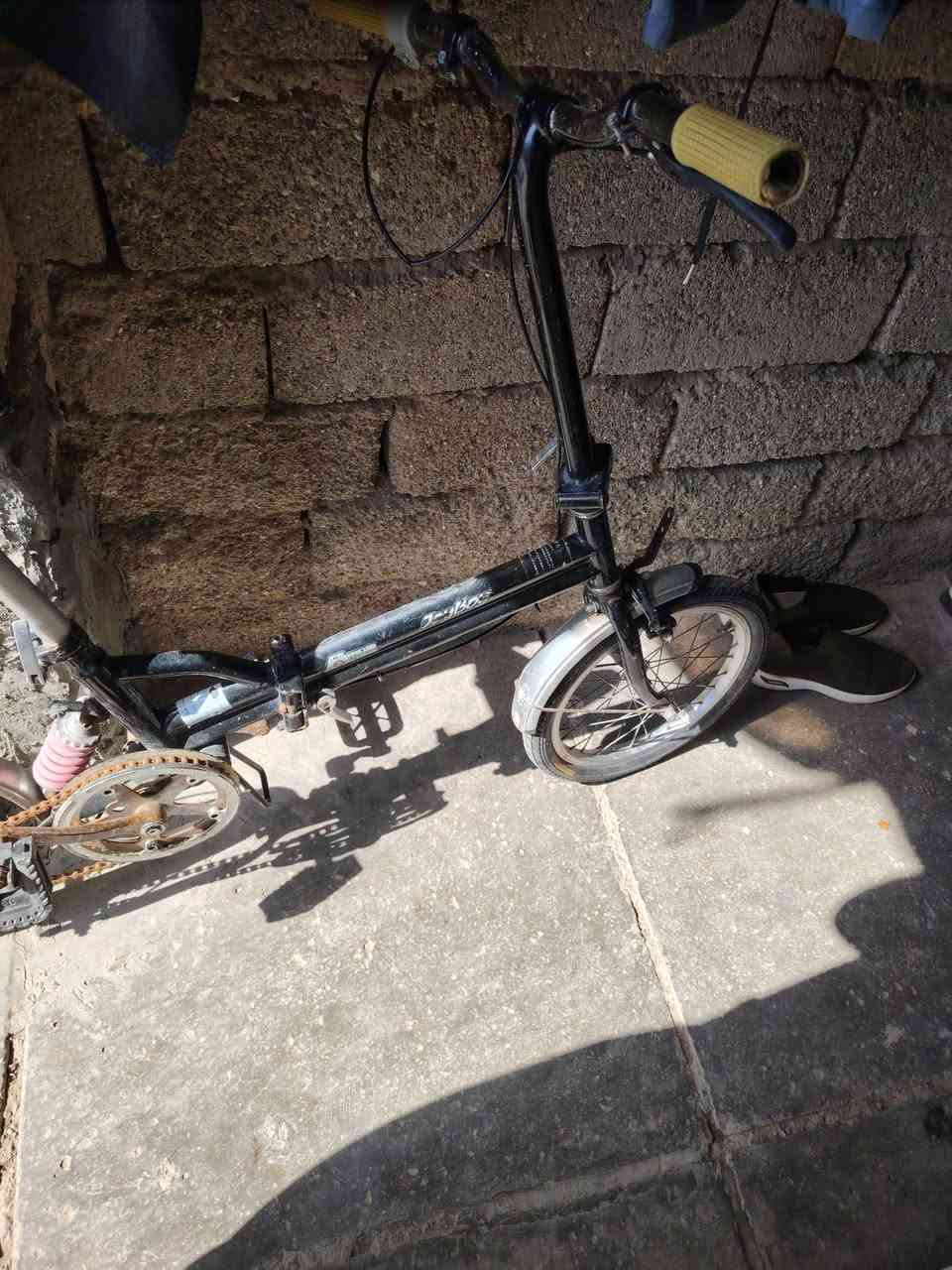 باسكل باله تكسي لبيع


**إذا كنت صاحب هذا الإعلان وتريد حذفه لأي سبب، رجاءا أرسل رسالة إلى الدعم الفني**