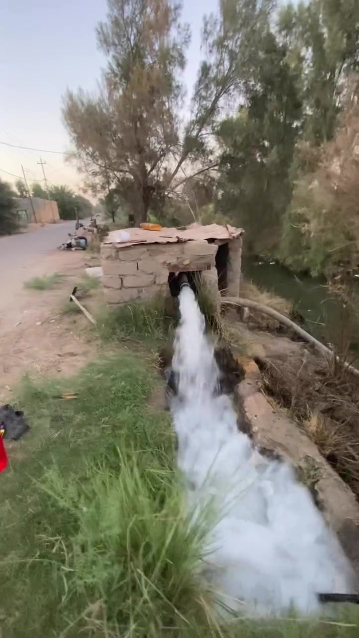 للبيع 7 ونص جاهز  العنوان غماس حاوي للتصال  ***********
