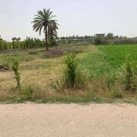 البوعكاش • ١ دونم • طابو زراعي
