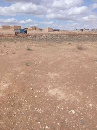 وادي علي • مجاوره المزرعه • ٢٠٠٠م