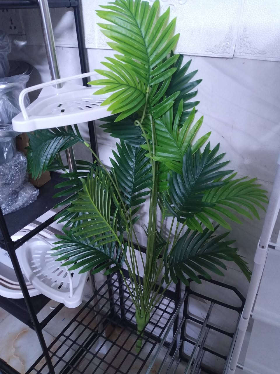 كلمن وسعرة توصيل داخل بغداد مجانا


**إذا كنت صاحب هذا الإعلان وتريد حذفه لأي سبب، رجاءا أرسل رسالة إلى الدعم الفني**