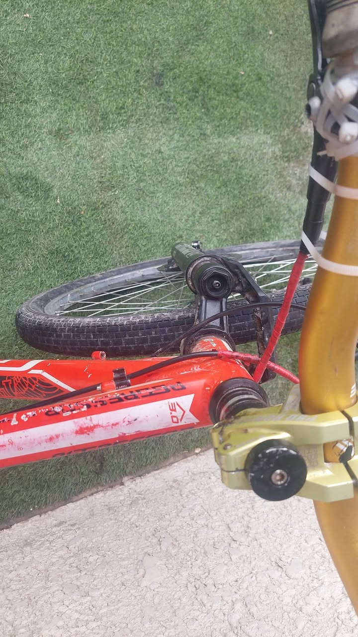 السلام عليكم شباب بسكل ستعراضي جيتي فريم sدبل غاز شترن ركبه ستعراضي ستم شيموانو ٢.٨ بطيخه سبع لون زوج بايك م فول محور دسكات لبايك معروض ٢٨٠ بي مجال حك جيه


**إذا كنت صاحب هذا الإعلان وتريد حذفه لأي سبب، رجاءا أرسل رسالة إلى الدعم الفني**