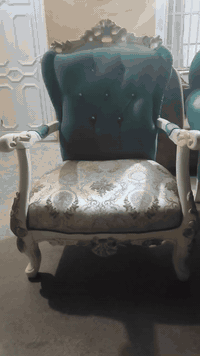 تخم رئاسي • كنب • برطلة