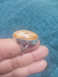 محابس فضة • ٦ محابس • حيانية تميم