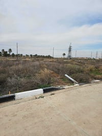 أرض زراعية • ١٠٠م² • مقابل برج الجزيرة